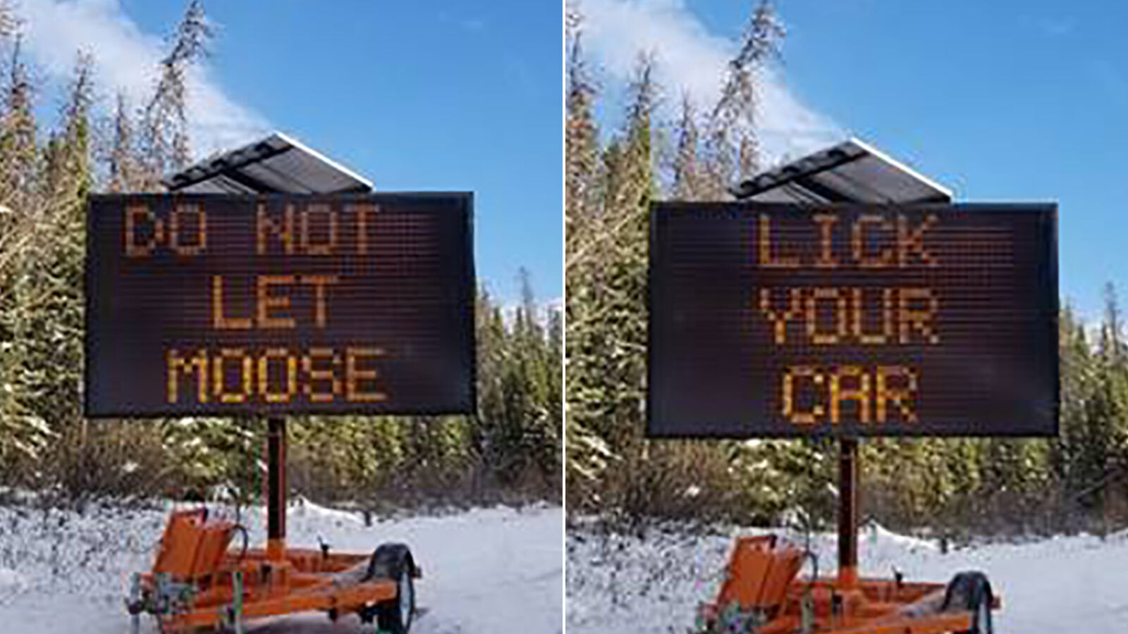 Moose signs